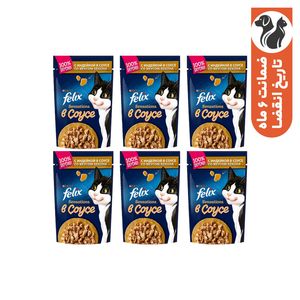 پوچ گربه بالغ فلیکس مدل in bacon flavored sauce با طعم بوقلمون وزن 410 گرم  بسته 6 عددی